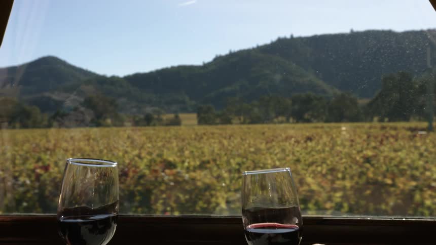 Two people celebrating with red wine while riding on a train through the countryside
