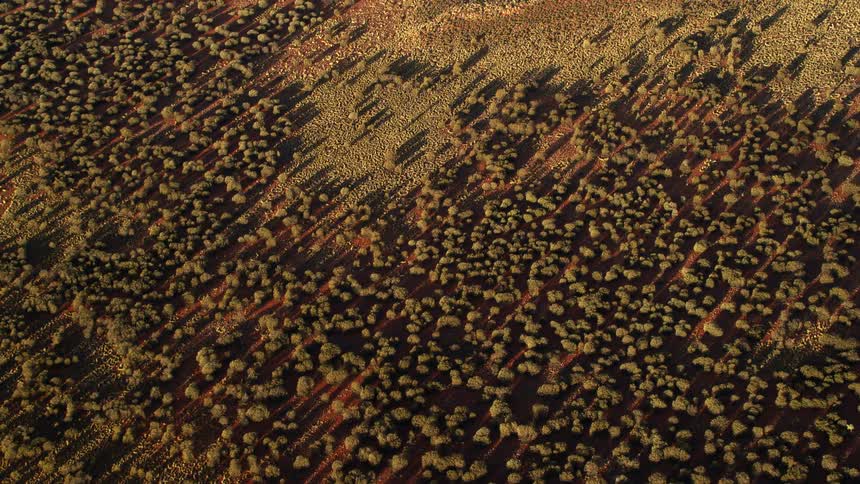 Trees are casting shadows on the land