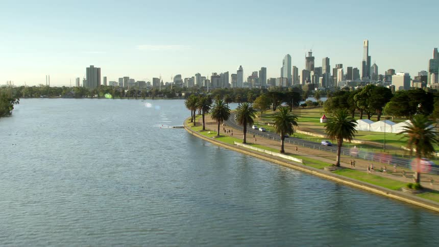 Aerial view of palm trees on the coast of a river near the city skyline at sunset