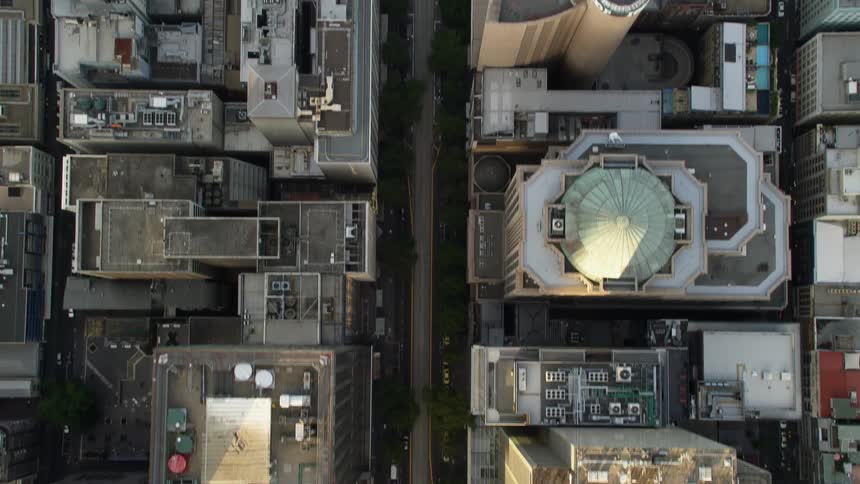 A city with buildings roads trees and vehicles