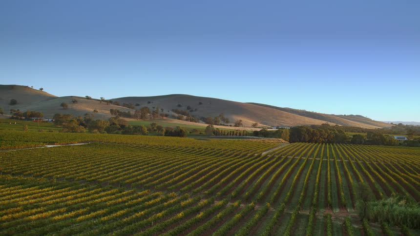 Crop fields stretch to hills in background bordering farm buildings