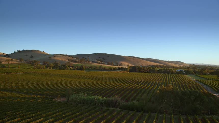 A rolling view of land with crops and many hills