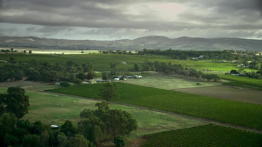 Aerial view of green fields and farms near the mountainstion