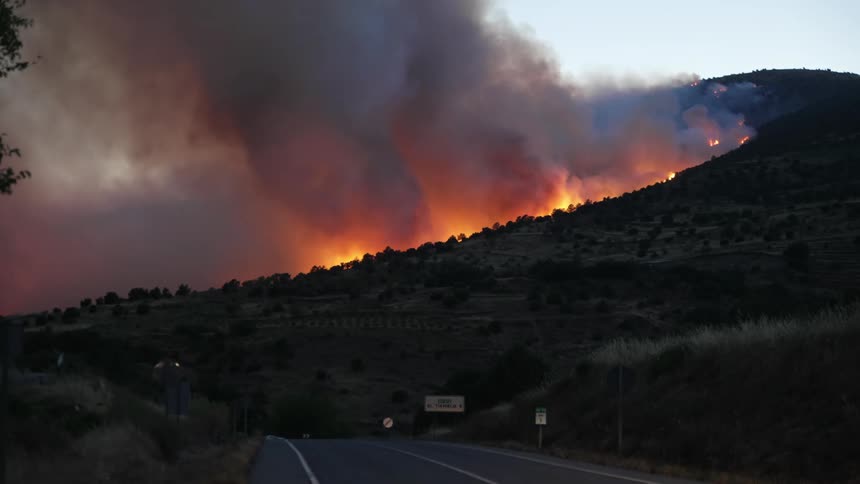 A forest fire is blazing as cars travel on a nearby road