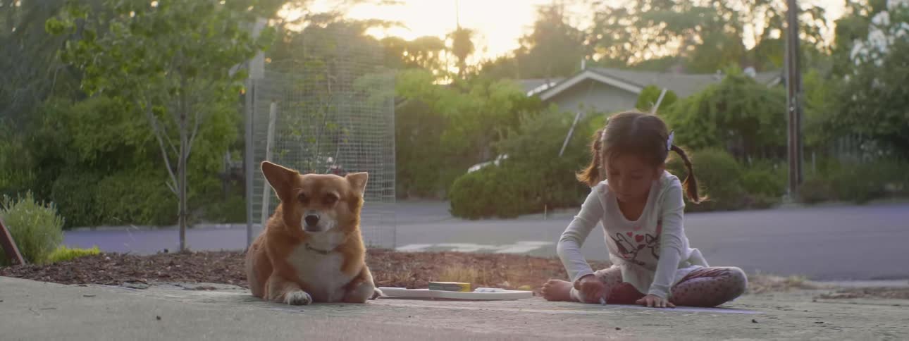 A young girl sits with her dog on a neighborhood sidewalk and draws on the cement with sidewalk chalk