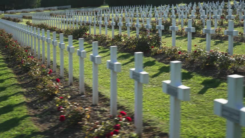 Rows upon rows of crosses in a cemetery