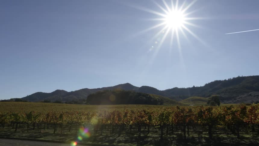The sun shines brightly on a field of crops and mountains in the distance