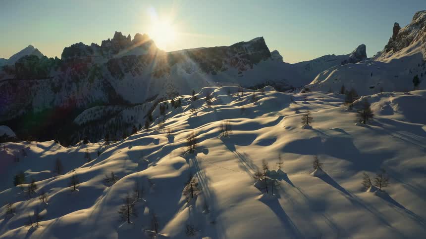 Sunlight reflecting on the snow over the pine tree forest in the mountain