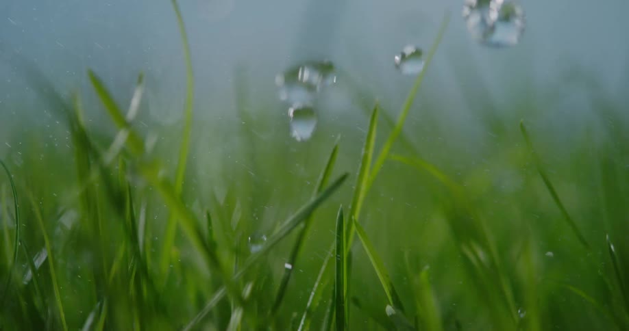 Water drops fall onto the lawn