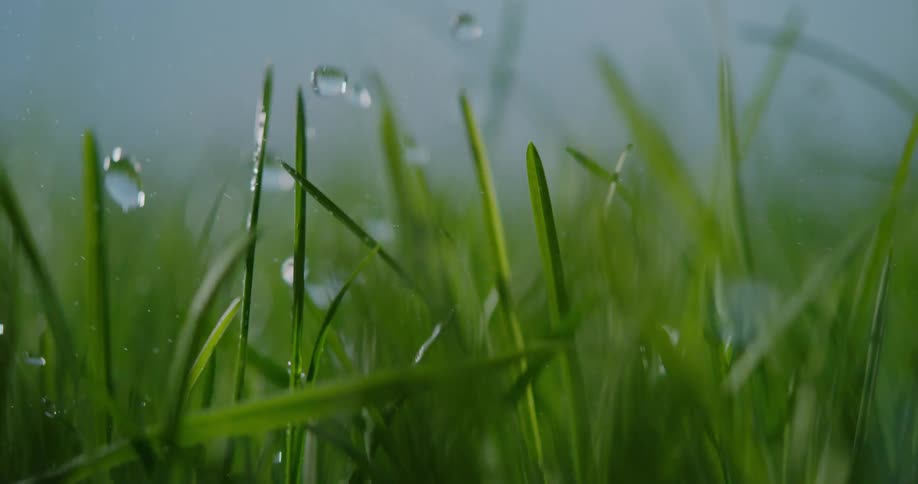 Water droplets falling