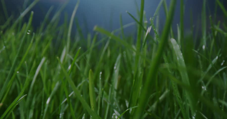 Water is falling on grass