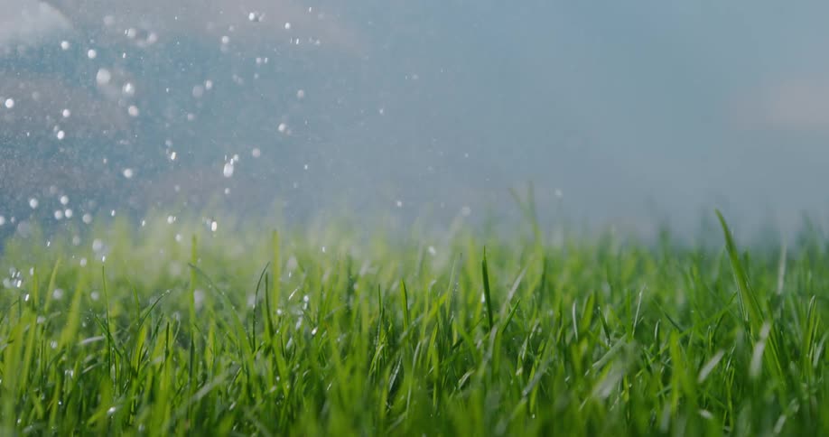 Water droplets falling over the green grass blades