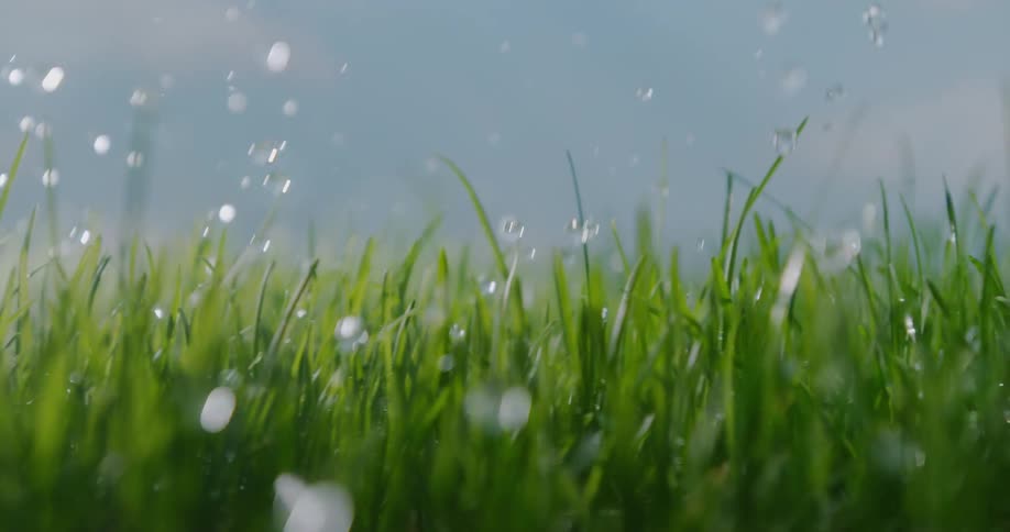 Water falls on the green grass