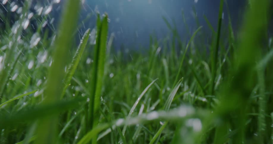 A green lawn with dew and water sprinkling over the grass