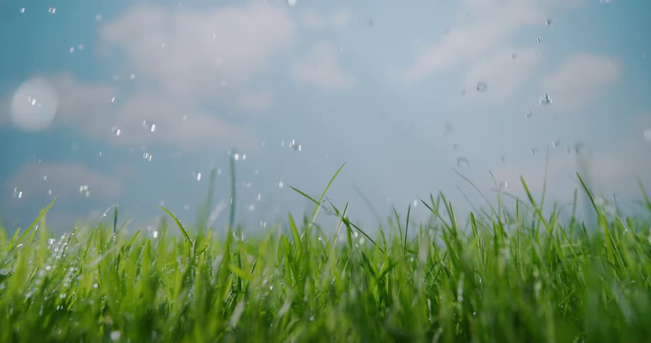A view of rain drops falling onto grass