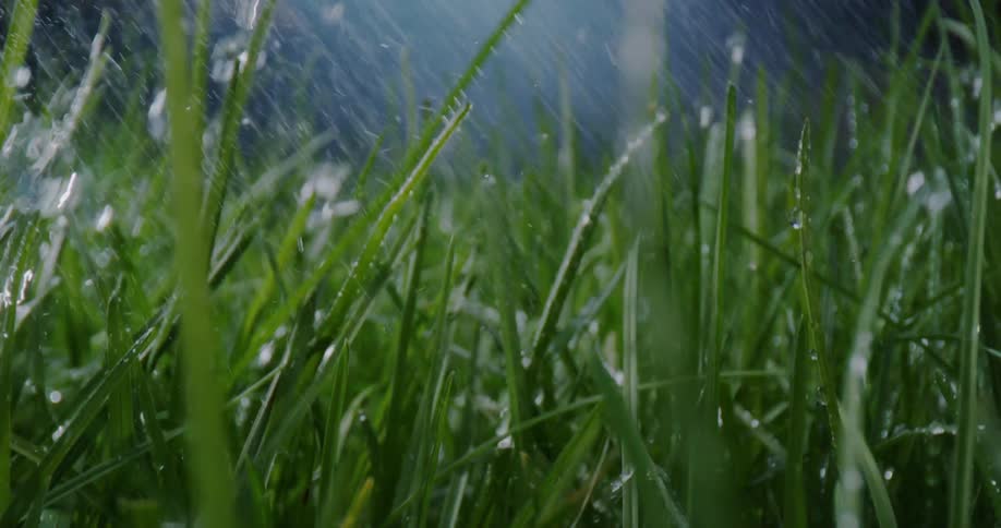 A view of water falling onto grass