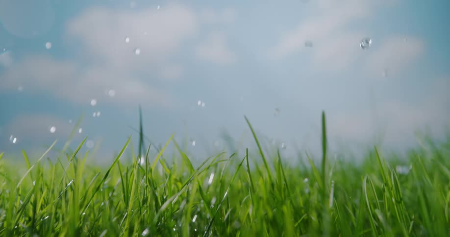 Water droplets falling