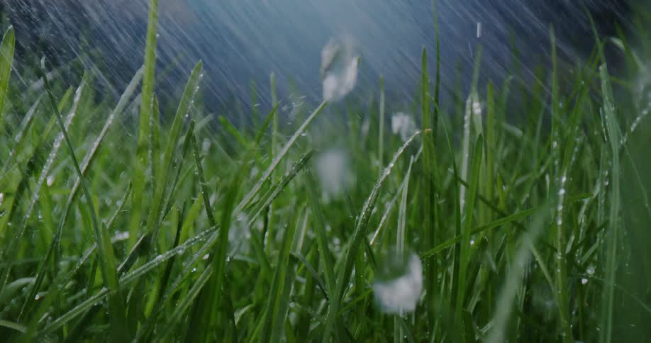 A grass lawn being watered during the day and night
