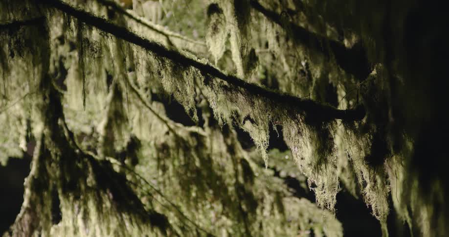 A close up of ripped fabric