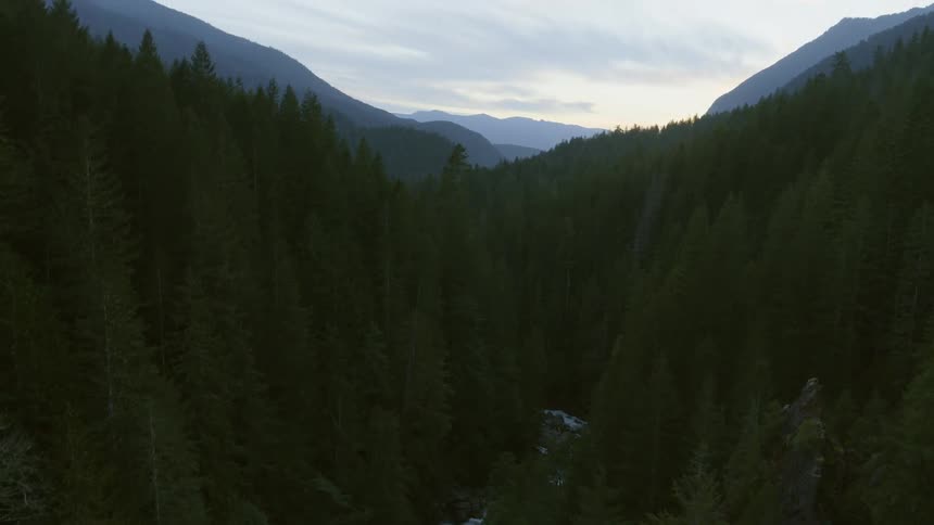 A narrow river runs through thick forest trees in the mountain wilderness after sunset