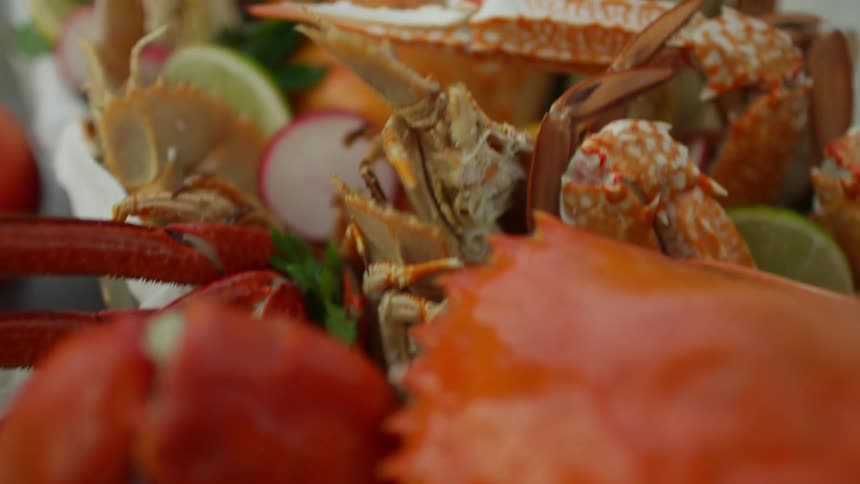 Cooked crab and lobster sit on white paper garnished with radish lemon and lime slices and herb sprigs