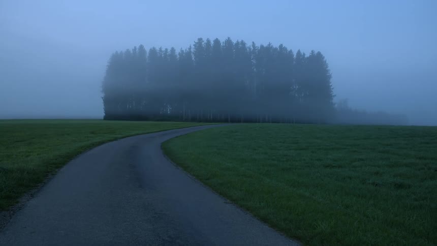 A pathway surrounded by grass with fog trees the sky and clouds in the background