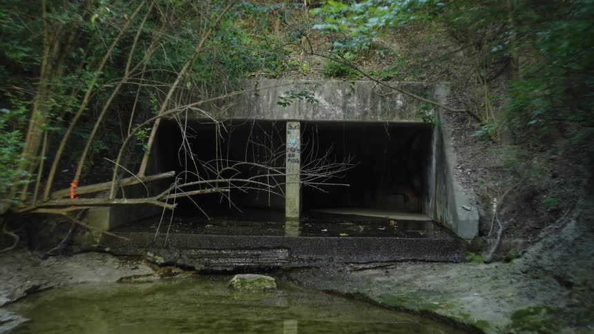 A tunnel with a stream of water surrounded by plants and trees