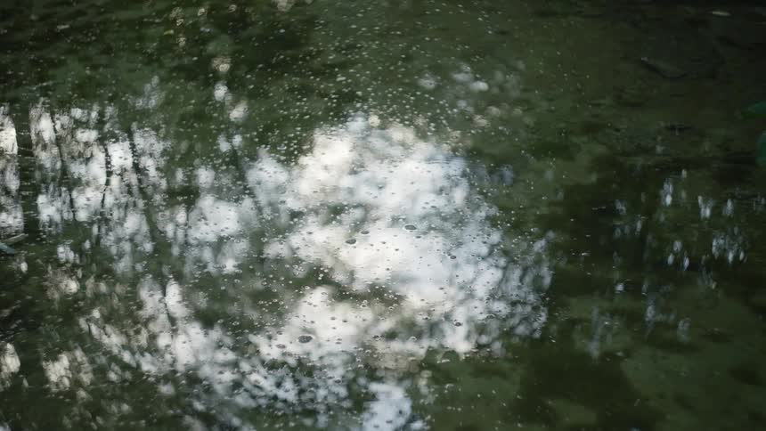 Trees and the sky are reflecting onto the water as it moves