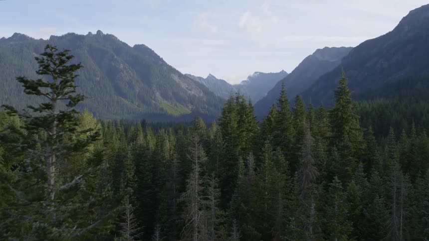 Flying just above the trees of a beautiful mountain valley forest