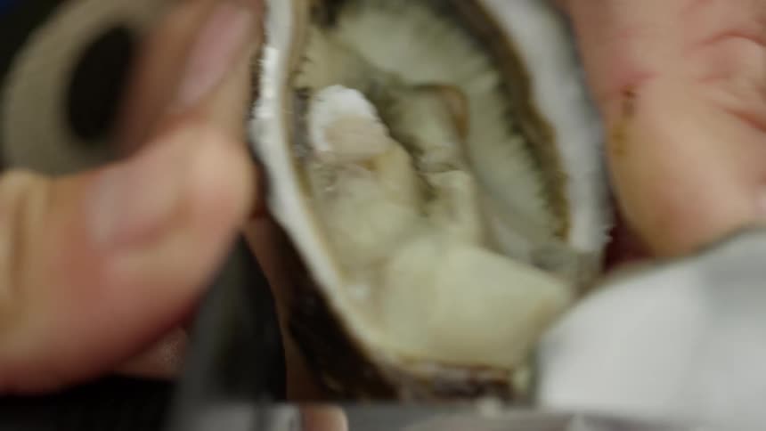 Someone is holding an oyster in their hand and opening it with a knife