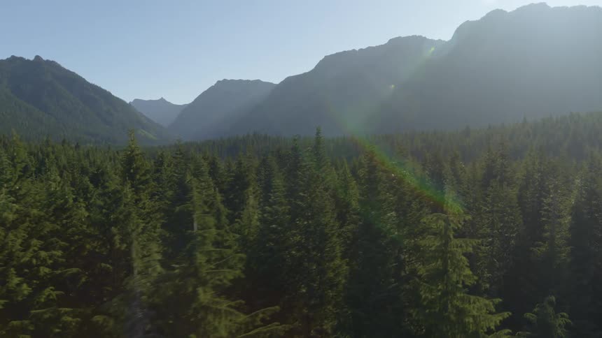Skimming along the tree tops of a thick green forest with tall mountains in the distance