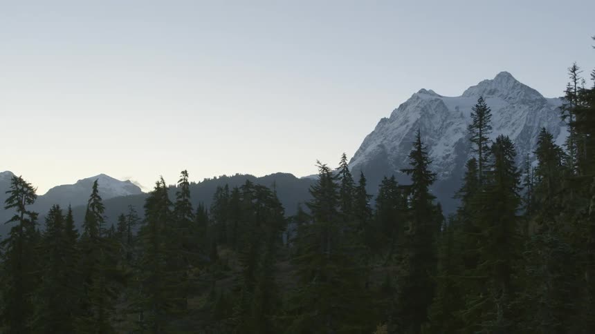 Trees grow along an alpine ridge in front of a majestic mountain peak