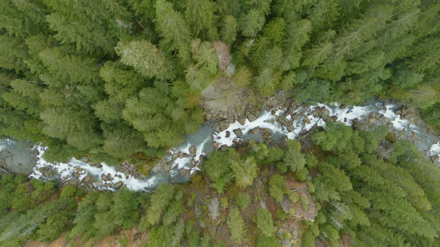 Birds eye view of a beautiful little river flowing through pure wilderness