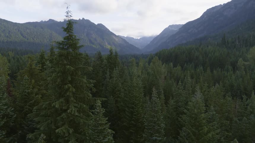 Slow pullback tilt up reveal of a green forest mountain valley