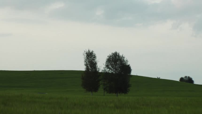 Trees on a green grass covered rolling hill under a cloudy sky