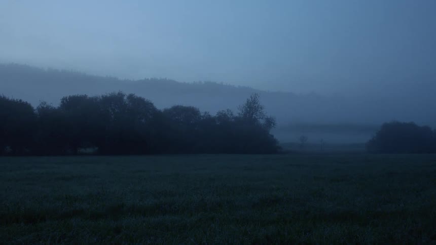 A wide shot of a field and bushes covered in fog during dawn