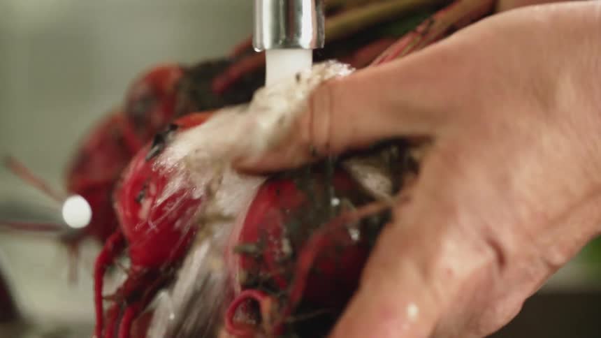 A person is rinsing a lot of dirt off some fresh radishes