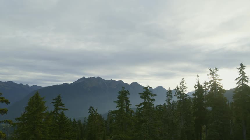 Sunrise ascent over the trees of an alpine forest to reveal a mist shrouded mountain ridge