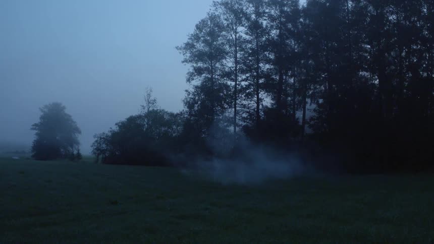Smoke moves across a field with trees in the distance
