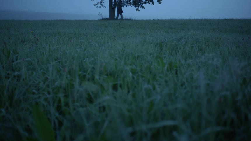 Man with overcoat and jeans passes by a single tree in the field with wild grass