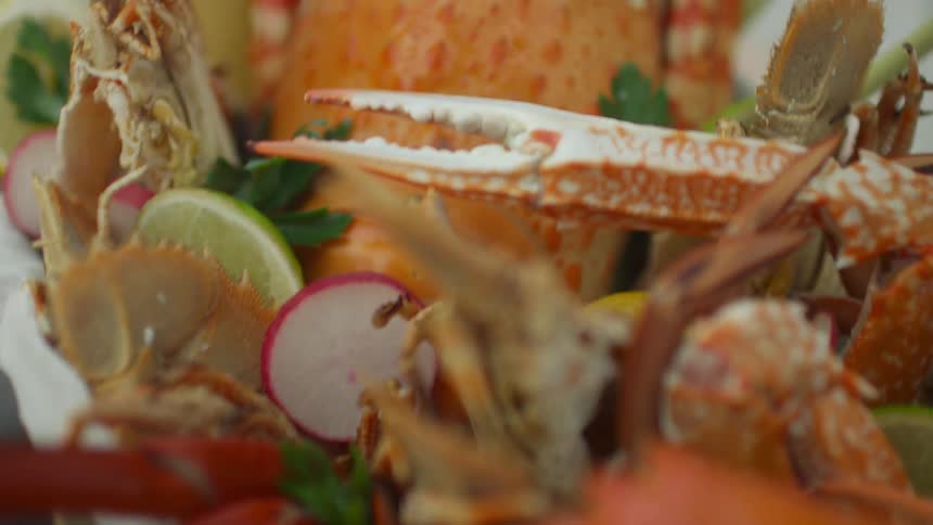A salad is in a bowl with a cooked crab and lobster on the top