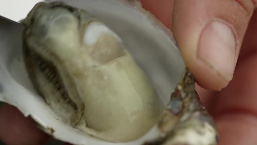 A person scooping a clam with a knife
