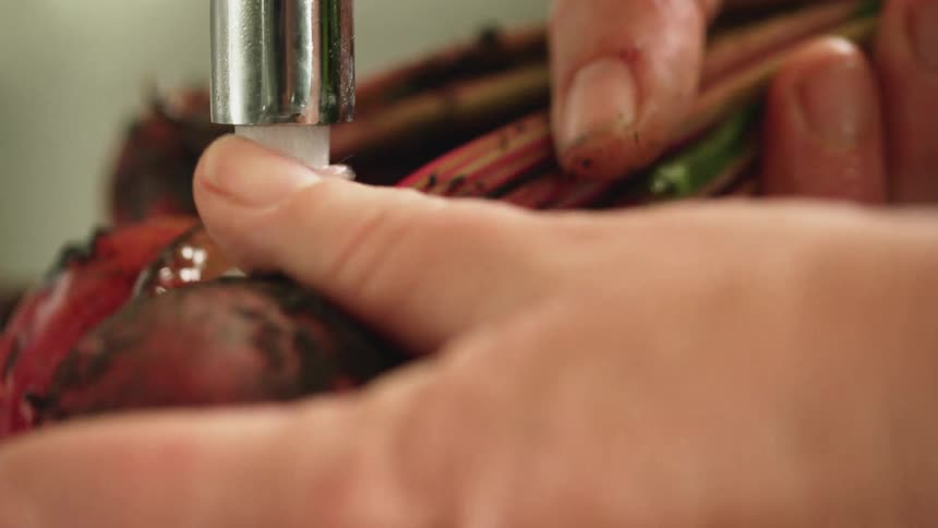 A person washing dirt from a vegetable underneath a faucet with water