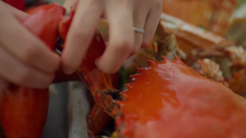 Two hands grab a claw from an immense seafood platter of brightly colored lobster crab and shrimp