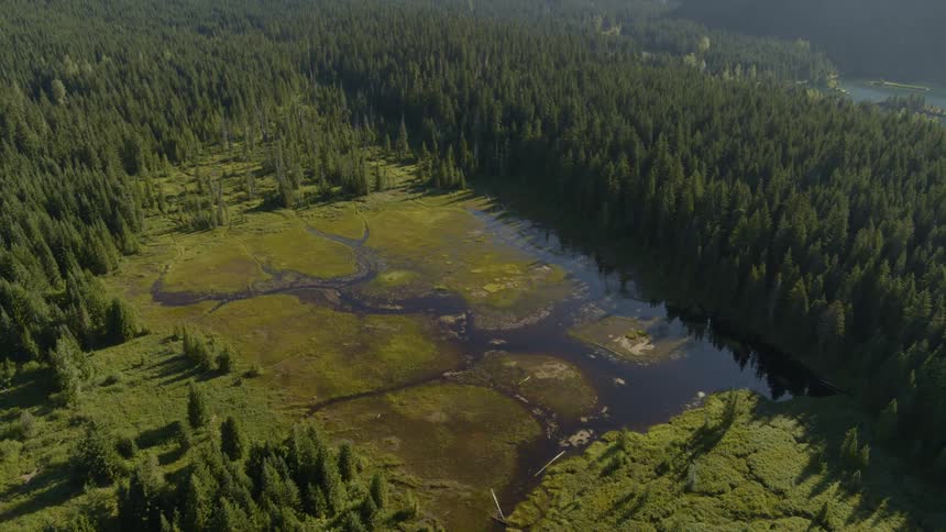 Revealing an alpine wetland surrounded by woods in a vast mountain valley