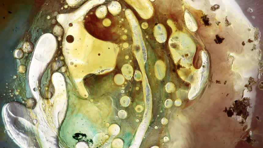 The shapes and liquid move around together