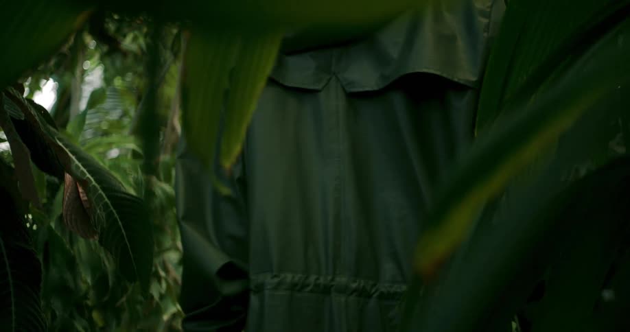 A person walks past tropical plants and trees leaving swaying fronds behind