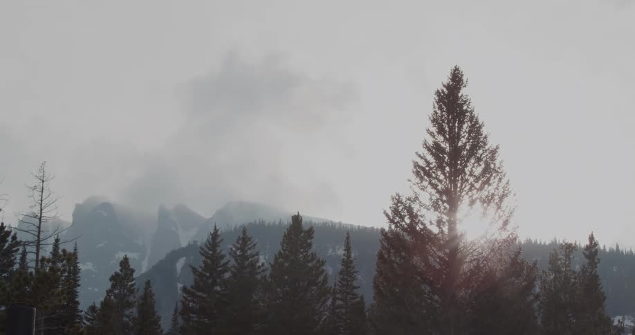 Sunset sunlight over the snow covered mountains near a pine tree forest