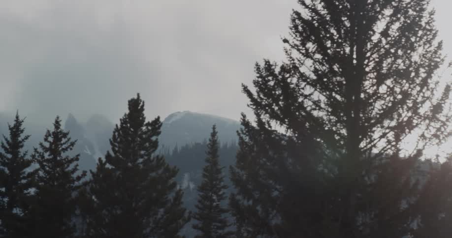 A forest with fog rising in the early morning as the sun rises from behind a mountain range