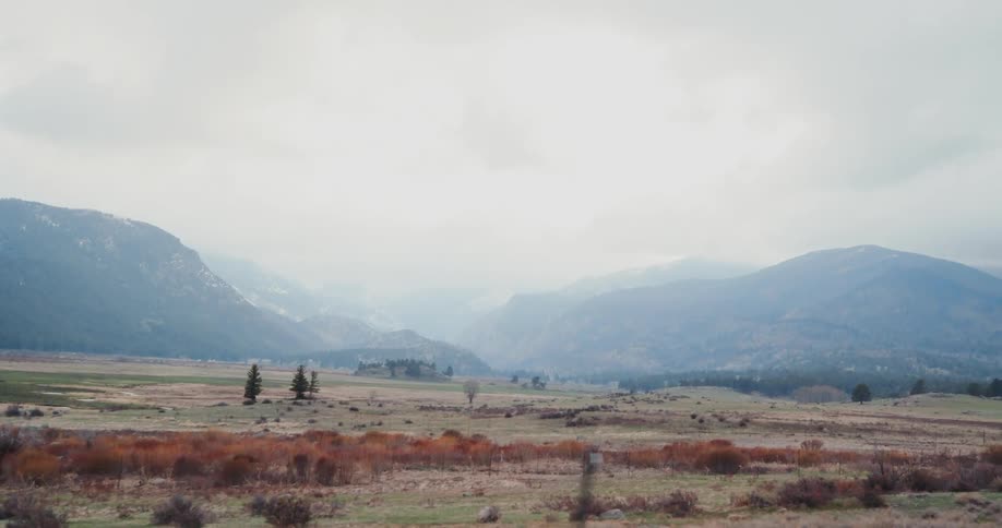 Trees and brush dot a grassy plain with mountains behind on a foggy day